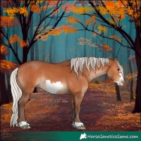 Horse Color:Silver Bay Frame