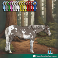 Horse Color:White Spotted Silver Smoky Black Splash Tobiano 
