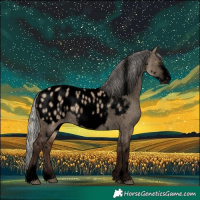Horse Color:Void White Spotted Silver Brown Dun Sabino Frame Appaloosa Rabicano 