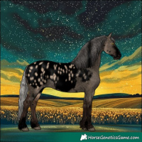 Horse Color:Void White Spotted Silver Brown Dun Sabino Frame Appaloosa Rabicano