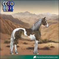Horse Color:Silver Buckskin Splash Tobiano 