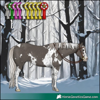 Horse Color:White Spotted Silver Black Splash Tobiano 
