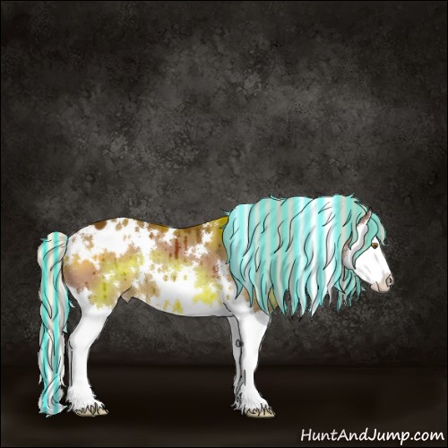 Horse Color:Painted White Spotted Silver Brown Dun Splash Appaloosa Brindle 