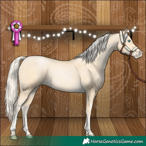 Horse Color:Palomino Pearl 