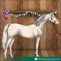 Horse Color:Palomino Pearl 