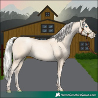 Horse Color:Silver Amber Cream Champagne Pearl 