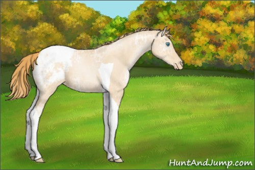 Horse Color:Gold Champagne Ice Roan Pearl Tobiano Varnish 