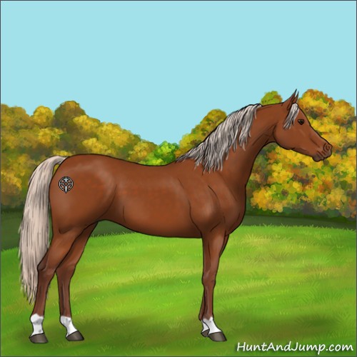 Horse Color:Chocolate Silver Buckskin 