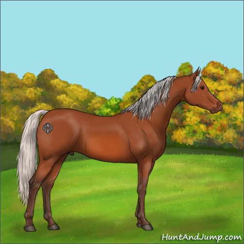 Horse Color:Silver Bay 