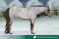 Horse Color:Liver Red Roan  and Liver Red Roan 