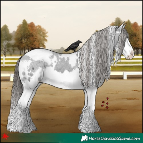 Horse Color:White Spotted Black Splash Snowcap 