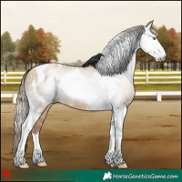 Horse Color:Gray White Spotted Buckskin Pearl Tobiano