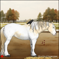 Horse Color:White Spotted Amber Cream Champagne Dun Appaloosa 