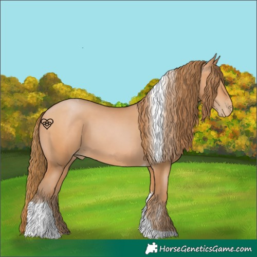 Horse Color:Bay Pearl Tobiano 