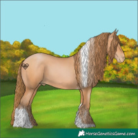 Horse Color:Bay Pearl Tobiano 