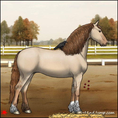 Horse Color:Red Dun 