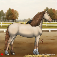 Horse Color:Red Dun 