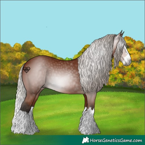 Horse Color:Gray Silver Bay Splash 
