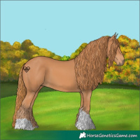 Horse Color:Chestnut Tobiano 