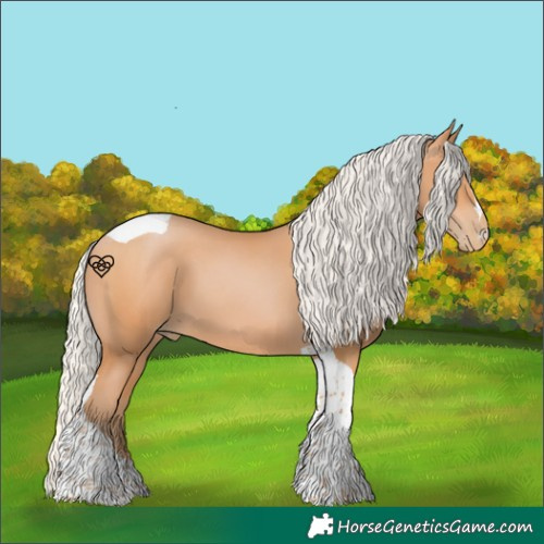 Horse Color:Silver Bay Pearl Tobiano 