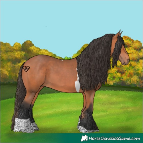 Horse Color:Bay Tobiano 