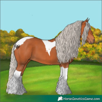 Horse Color:Silver Bay Tobiano 