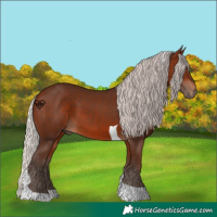 Horse Color:Silver Brown Tobiano 