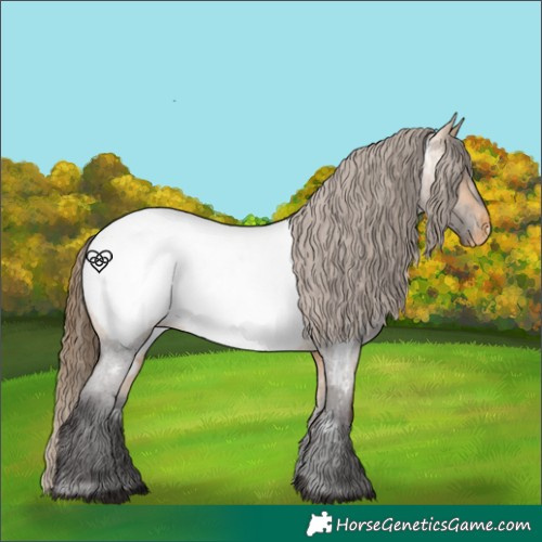 Horse Color:Buckskin Roan Near Fewspot