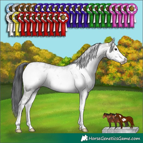 Horse Color:White Spotted Grullo Sabino Frame Rabicano 