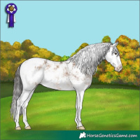 Horse Color:Bay Dun Sabino Splash Rabicano 