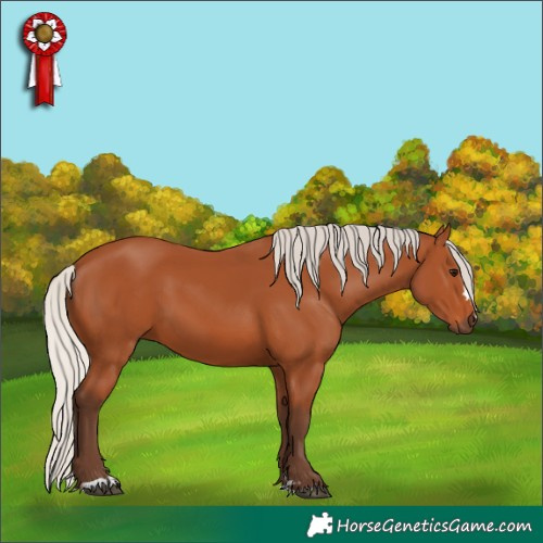 Horse Color:Silver Bay 