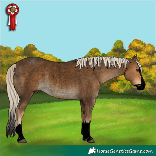 Horse Color:Void Chocolate Palomino Roan Splash 