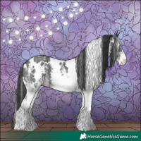 Horse Color:White Spotted Black