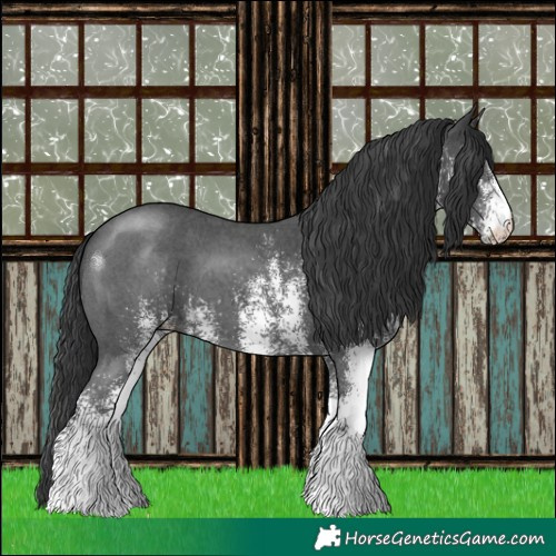 Horse Color:White Spotted Black 