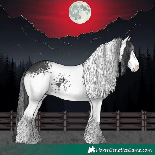 Horse Color:White Spotted Black Varnish 