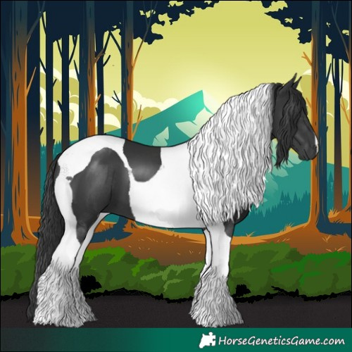 Horse Color:Black Tobiano