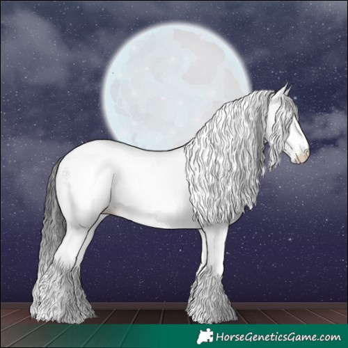 Horse Color:White Spotted Black 