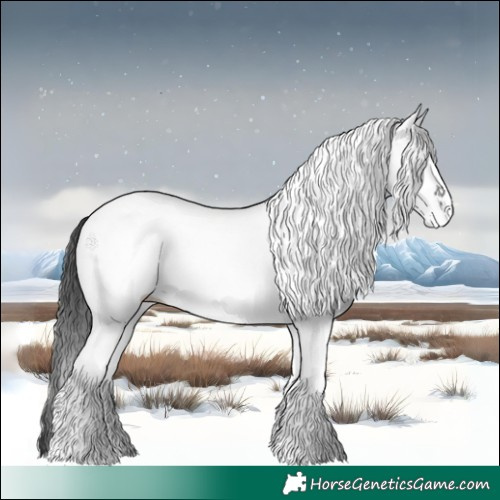Horse Color:White Spotted Black