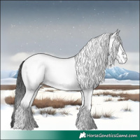 Horse Color:White Spotted Black