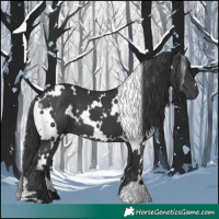 Horse Color:White Spotted Black
