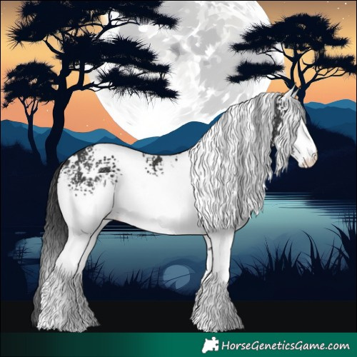 Horse Color:White Spotted Black
