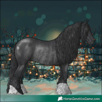 Horse Color:Black Rabicano 