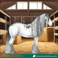 Horse Color:White Spotted Black 