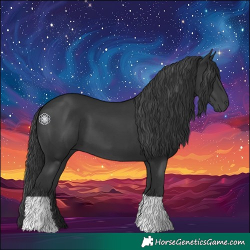 Horse Color:Black 