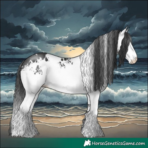 Horse Color:White Spotted Black