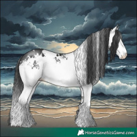 Horse Color:White Spotted Black