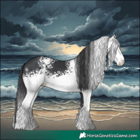 Horse Color:White Spotted Black 