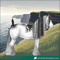 Horse Color:White Spotted Black