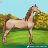 Horse Color:Red Dun 