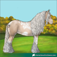 Horse Color:Chocolate Palomino Pearl Tobiano Frame and Chocolate Palomino Pearl Tobiano Frame